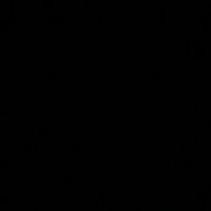 Meet your Posher, Gianna